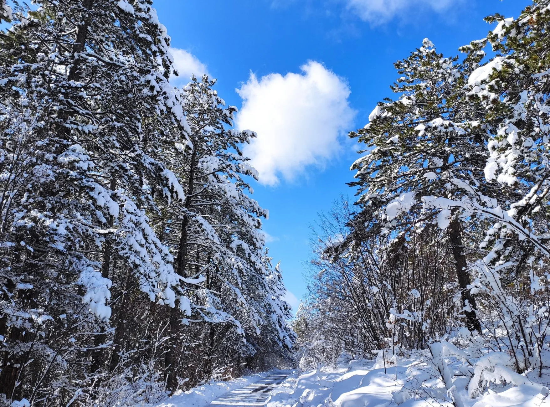 Puente de diciembre a la Sierra de Guadarrama: nieve a un Cercanías de Cuatro Caminos